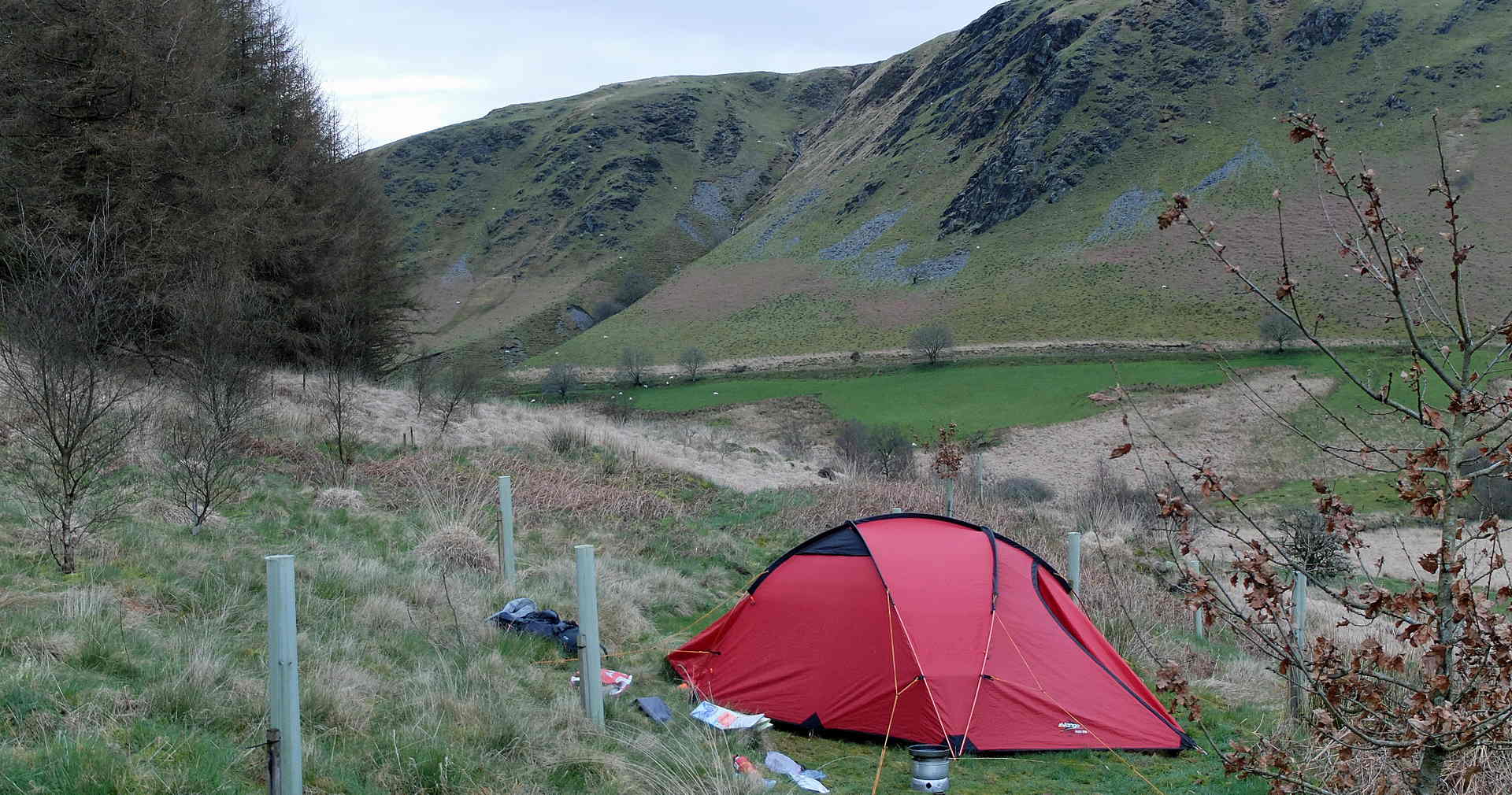 Darganfod Cymru Wyllt