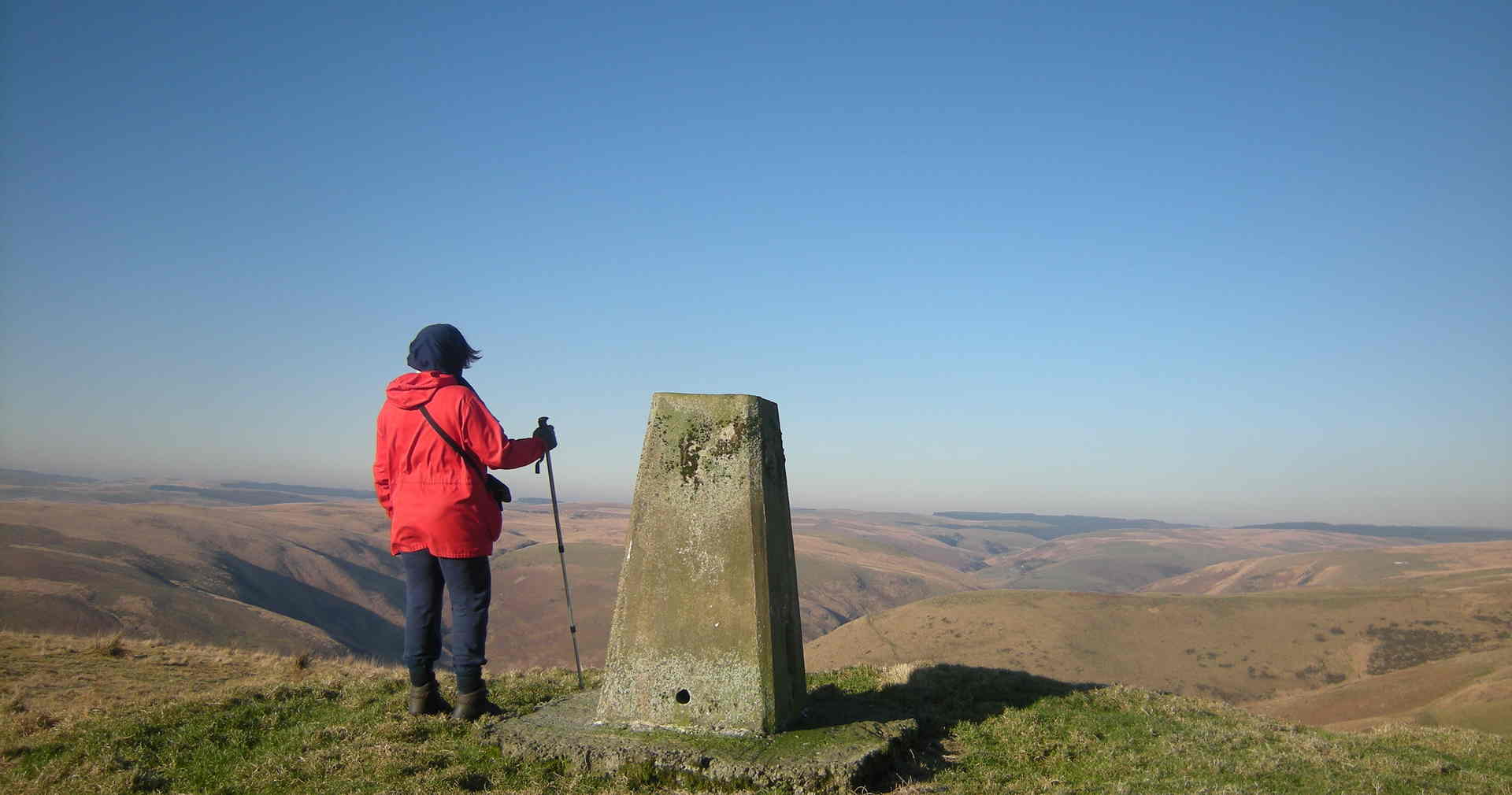 Darganfod Cymru Wyllt