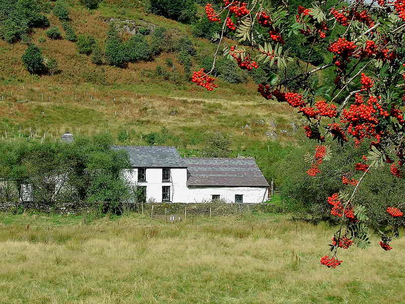 Dolgoch