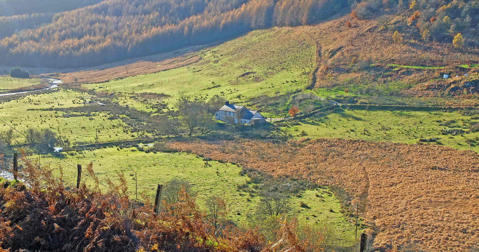 Darganfod Cymru Wyllt
