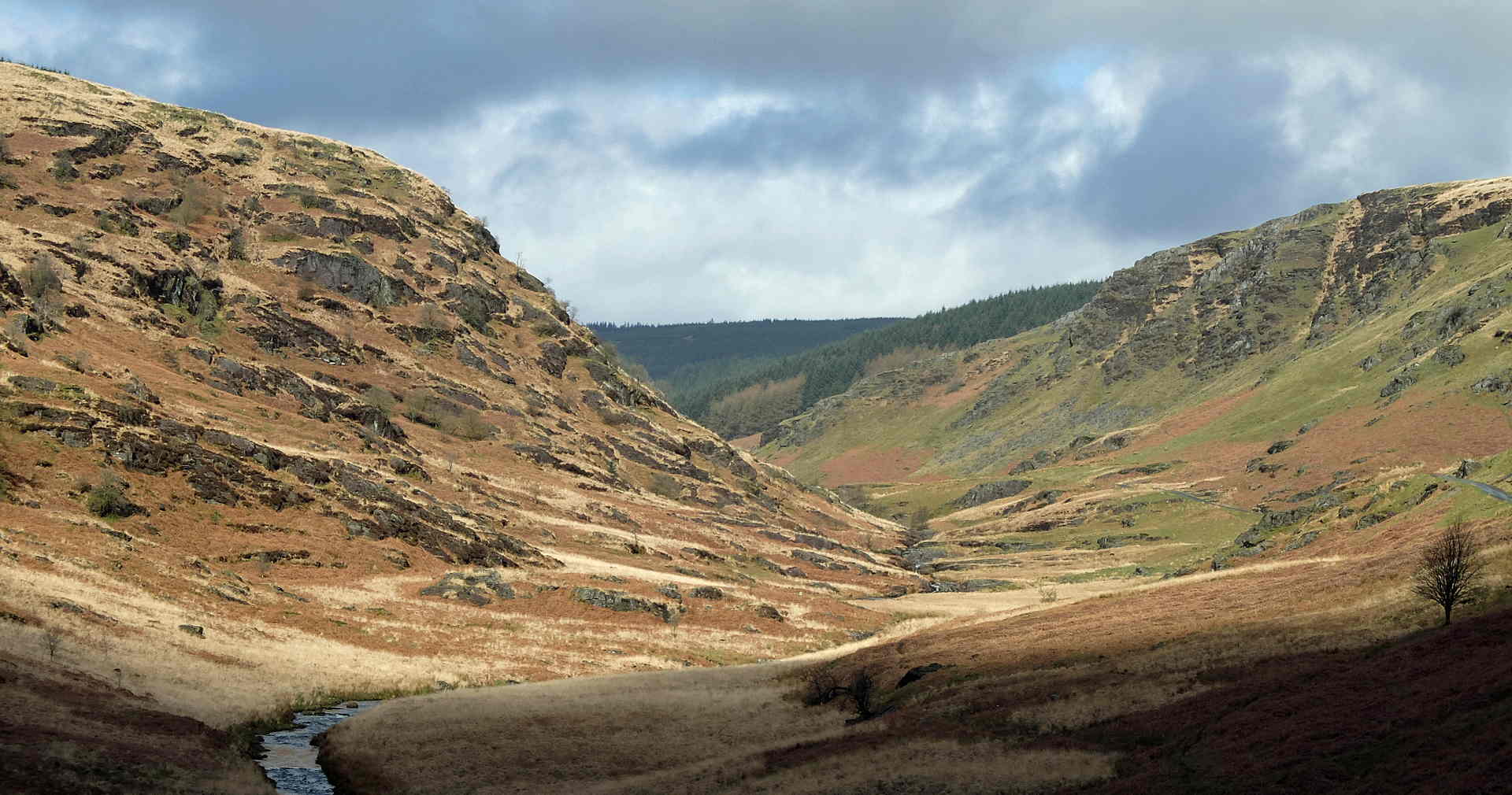 Darganfod Cymru Wyllt